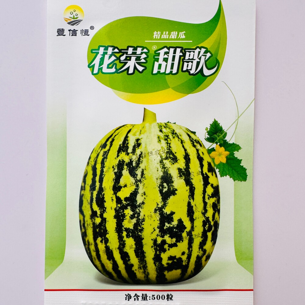 丰信恒花荣甜歌大果花皮绿肉甜瓜种子 高糖杂交脆甜香瓜种籽种孑