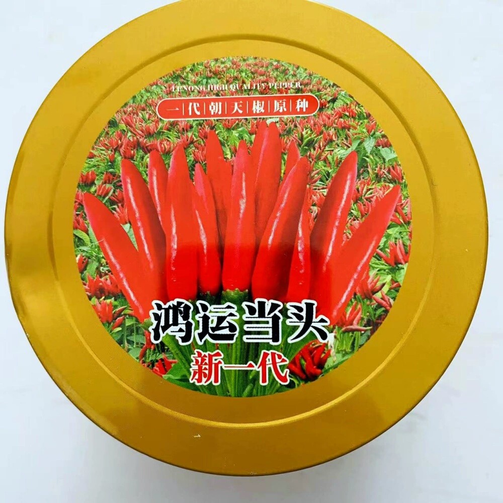 鸿运当头新一代原种朝天椒种籽抗病抗重茬簇生辣椒种子春夏季播种