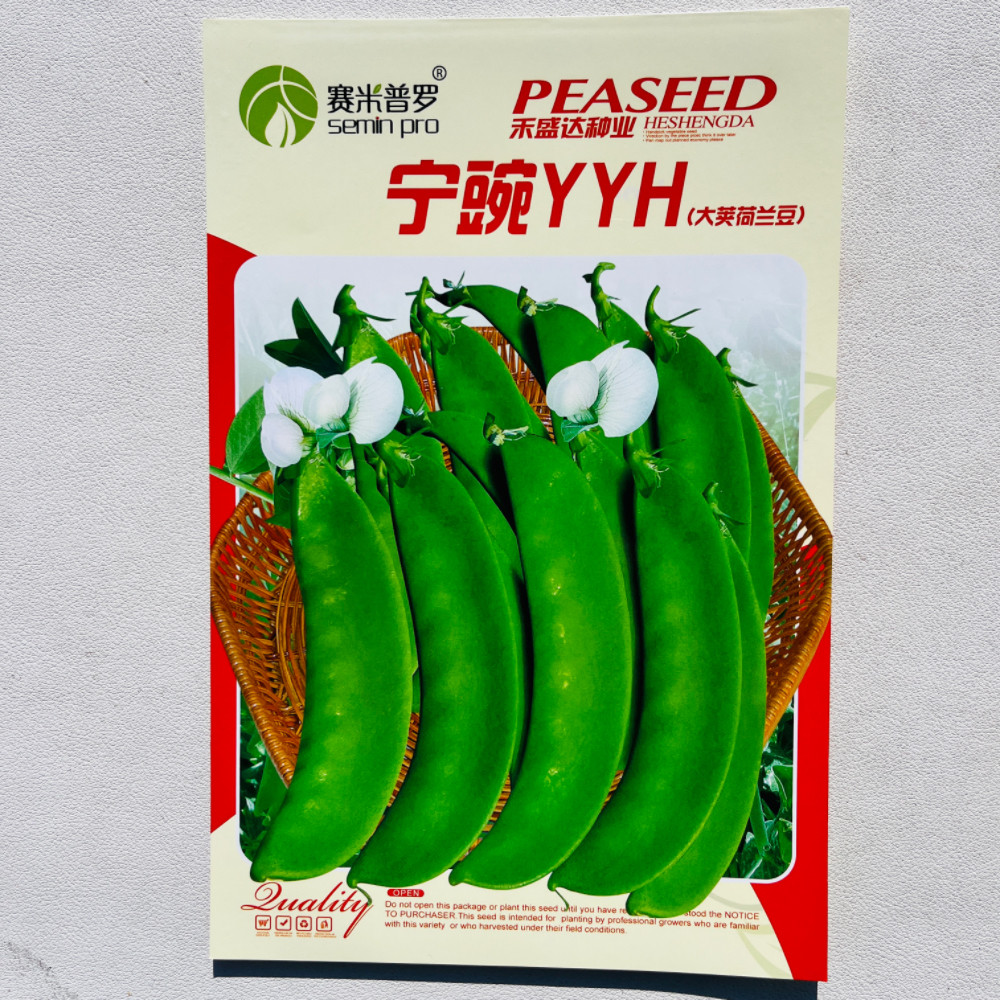 大荚荷兰豆种子种籽甜蔬菜孑四季豌豆菜籽春秋季籽种高产豆种碗豆