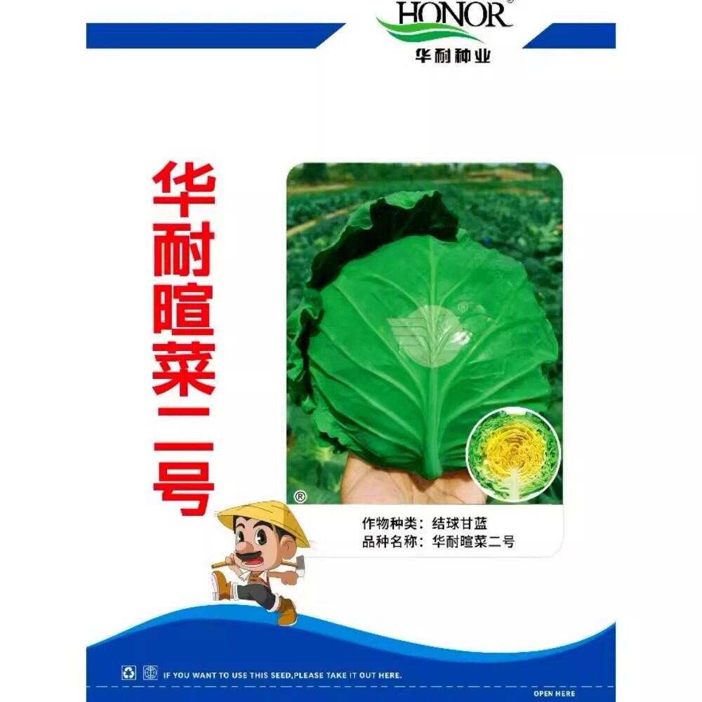 华耐暄菜二号甘蓝种子绿叶黄心杂交早熟卷心菜包头菜种籽春秋季播