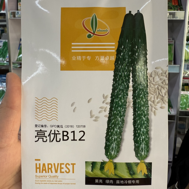 天津亿联特夏秋胜美黄瓜种籽孑亮优B12优质黄瓜种子抗病高产绿肉