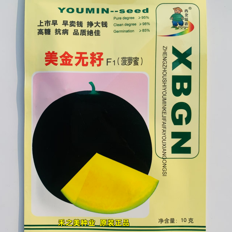 美金无籽菠萝蜜西瓜种孑特甜黑皮黄瓤无籽西瓜种籽子早熟果皮薄韧