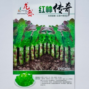 龙盛红帅传奇莴笋种子肉质脆嫩红圆叶香莴苣菜种籽秋冬早春季播种