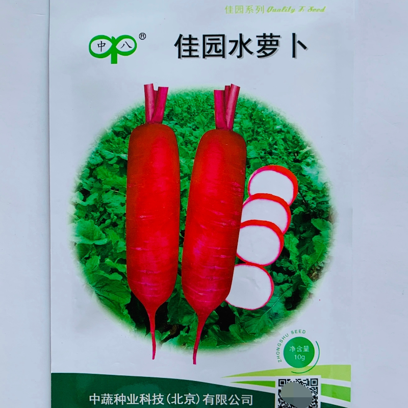 中蔬佳园水萝卜种子红皮白肉红萝卜种籽阳台盆栽小院播种蔬菜种孑
