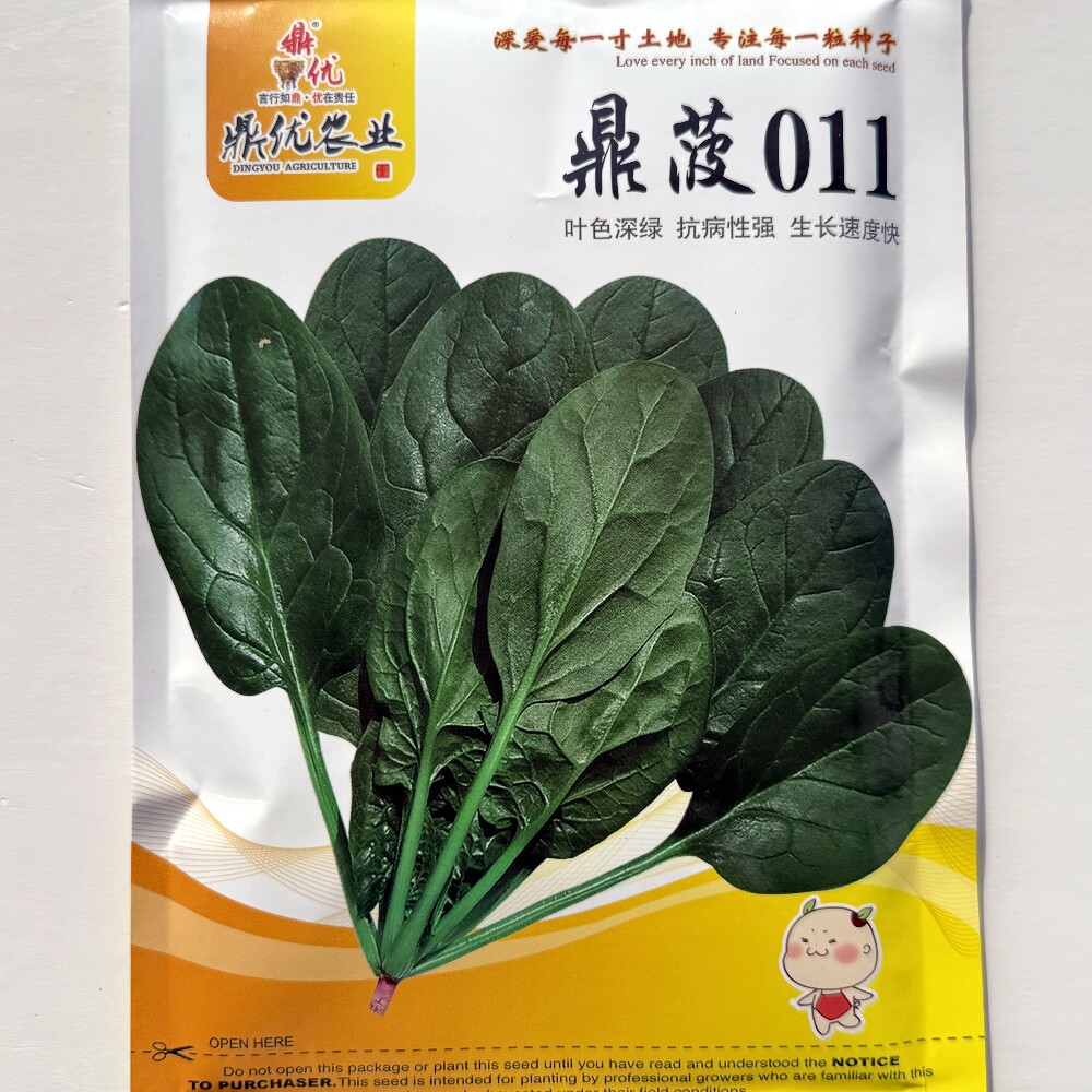 鼎菠011菠菜种子抗病耐寒深绿圆叶直立菠菜种籽秋冬季播蔬菜种孑