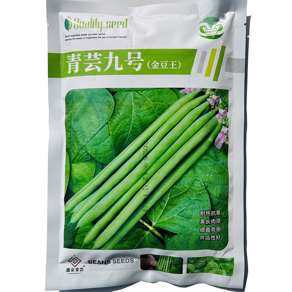 青芸九号小金豆种子 抗病早中熟浅绿条四季豆种籽 农家春秋季播种