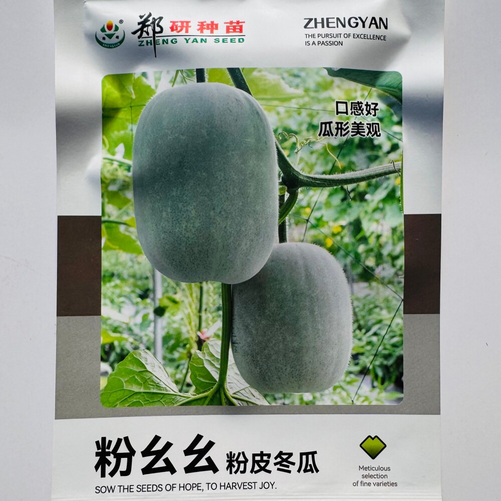 粉幺幺粉皮冬瓜种子杂交中早熟小冬瓜种籽肉厚味鲜瓜形美观口感好