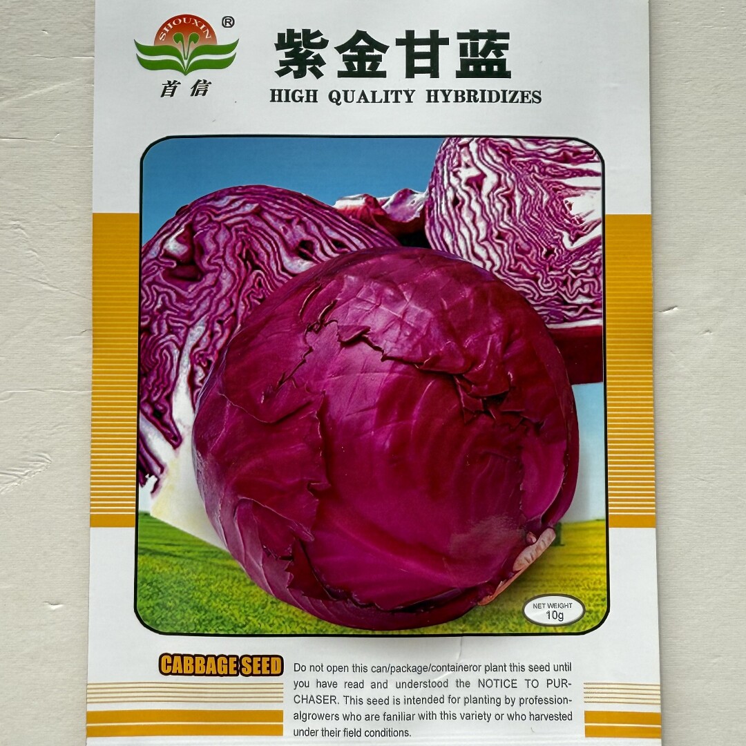 紫金甘蓝种子卷心菜包头菜种籽紫甘蓝菜种南北方春秋季播蔬菜种孑