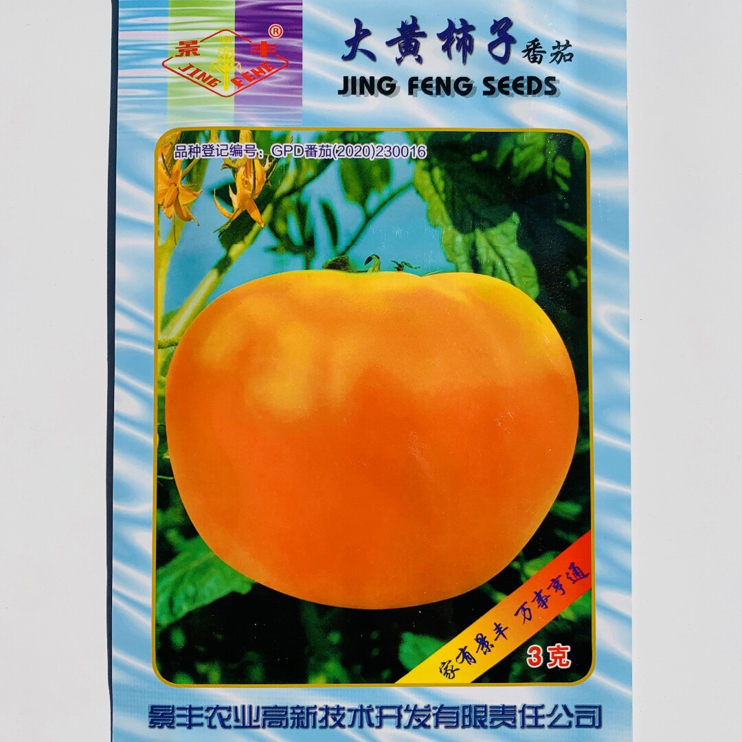 景丰大黄柿子种子大果番茄种籽早熟深黄色无限生长型西红柿种孑
