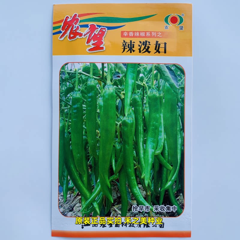农望辣泼妇辣椒种子杂交一代小羊角椒种籽早熟高产辣味香浓四季种