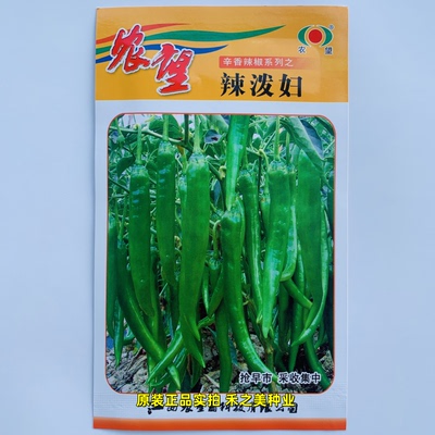 农望辣泼妇辣椒种子杂交一代小羊角椒种籽早熟高产辣味香浓四季种