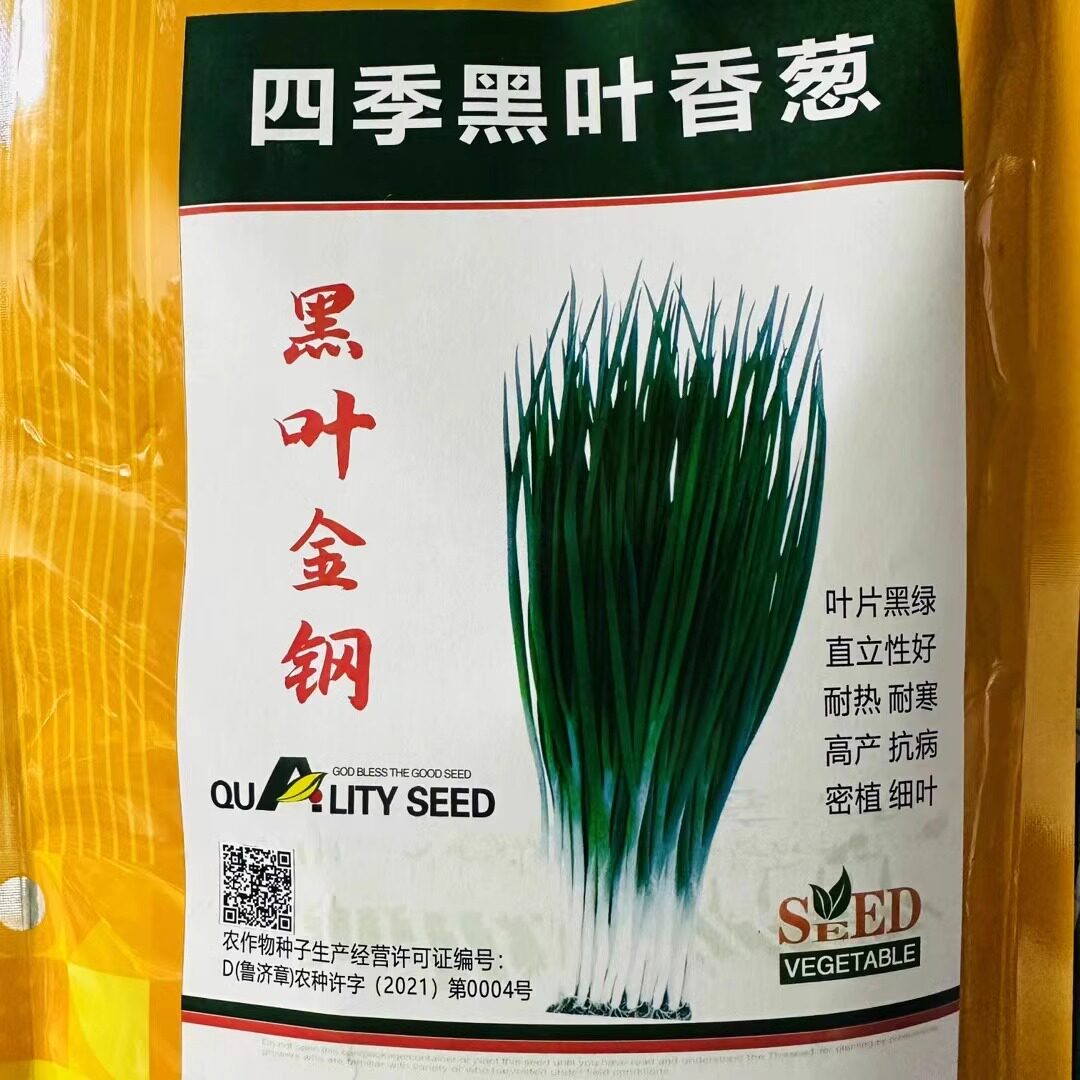 四季黑叶金刚香葱种子高产耐热耐寒黑绿抗病春夏秋小葱种籽孑大田