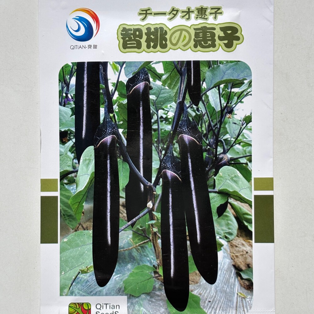 智桃惠子黑亮长茄种子 抗病杂交早熟茄子种籽 农家春夏季蔬菜种孑