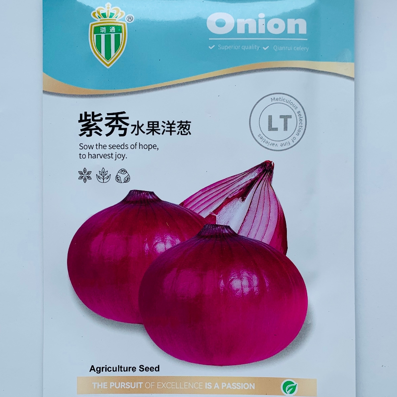 脆甜水果洋葱种籽红皮洋葱种子黄皮特大耐寒高产春秋季播蔬菜种孑