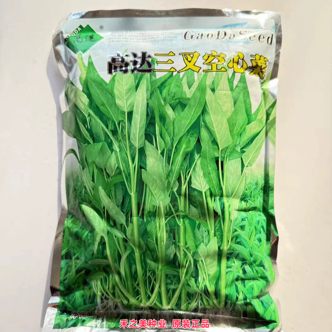 大叶空心菜种籽双机泰国空心菜种子春夏秋季水培旱地可播蔬菜种孑