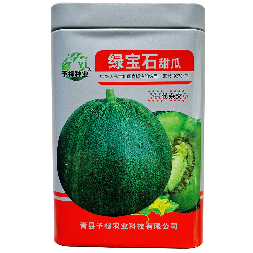 绿宝石甜瓜种子甜脆青皮绿肉薄皮香瓜种籽农家春夏季播水果种孑