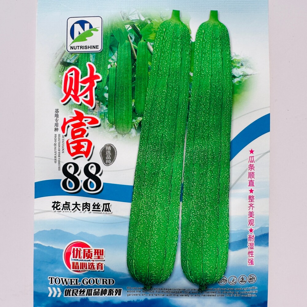 财富88花点大肉丝瓜种子抗病杂交瓜条顺直棱角甜丝瓜种籽春秋季播