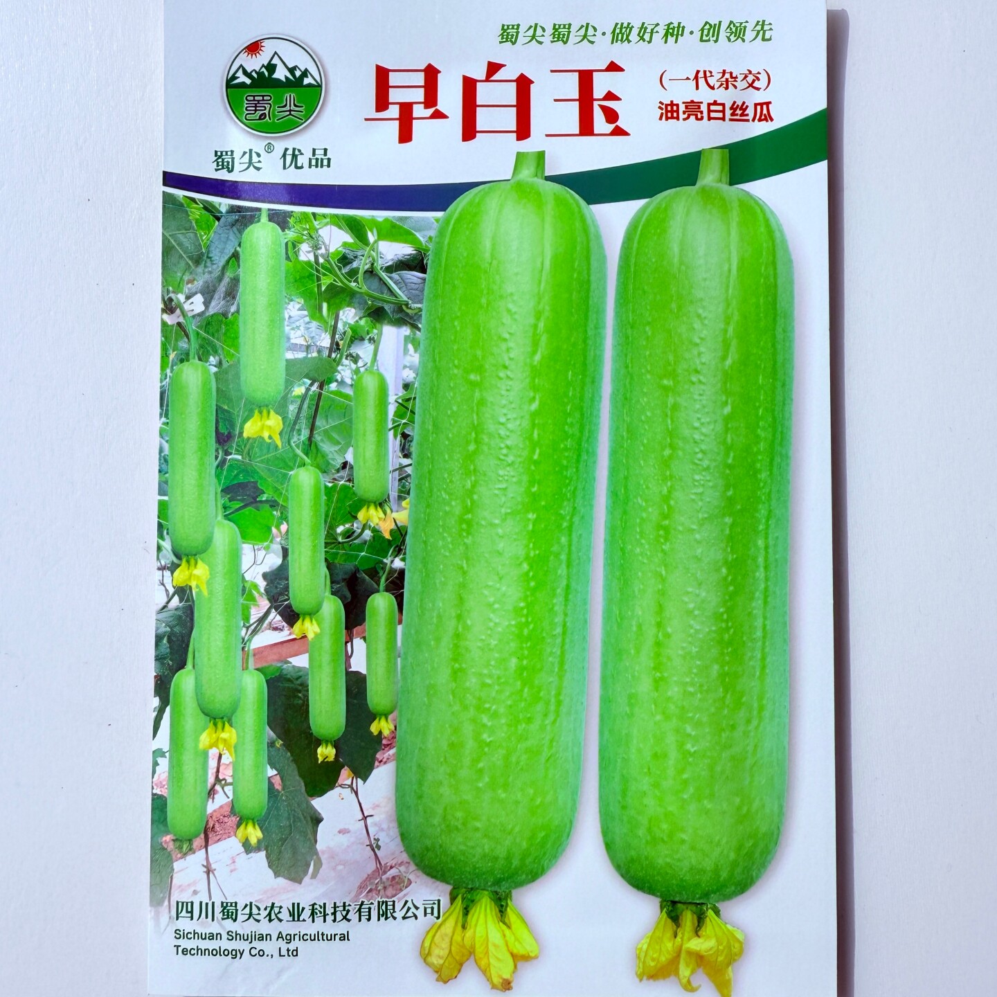 早白玉油亮白丝瓜种子早中熟肉质细嫩清甜可口高产丝瓜种籽春秋播