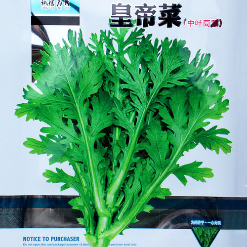 皇帝菜中叶茼蒿种子青菜种籽春菊菜种农家菜籽阳台籽种四季蔬菜孑
