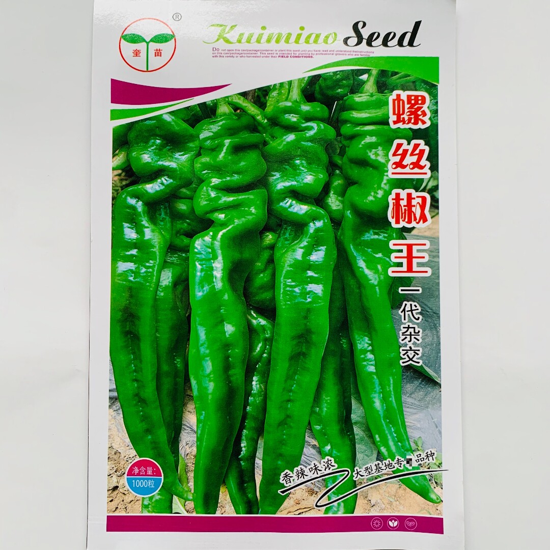 奎苗螺丝椒王辣椒种子杂交早中熟香辣螺丝椒种籽大田基地春秋季播
