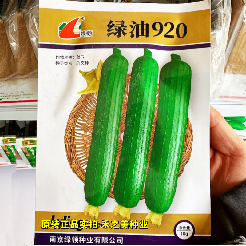 绿领绿油920油皮丝瓜香丝瓜短丝瓜油亮蔬菜种子