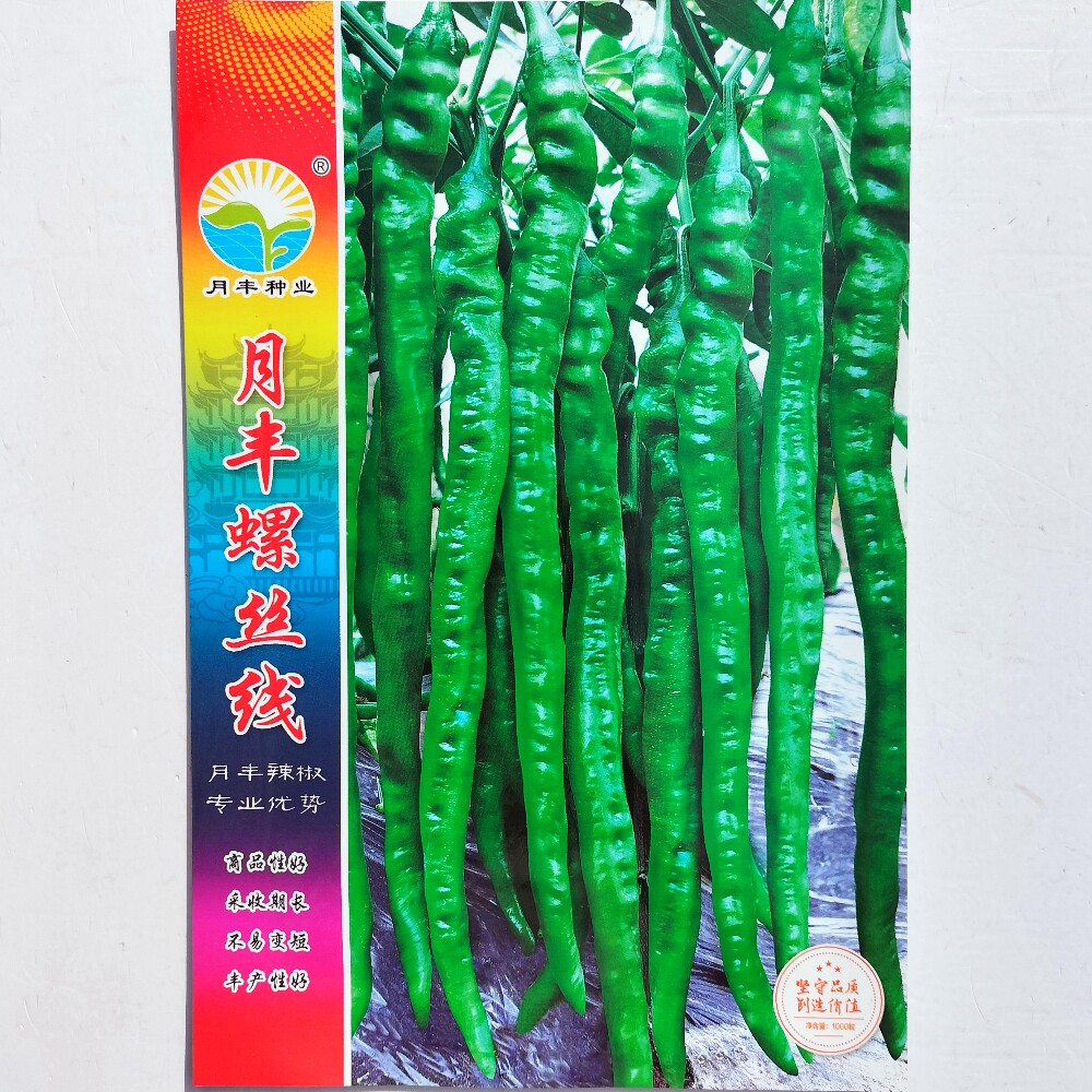 月丰螺丝线椒种子杂交早熟高产香辣线椒种籽南北方春秋季播种蔬菜