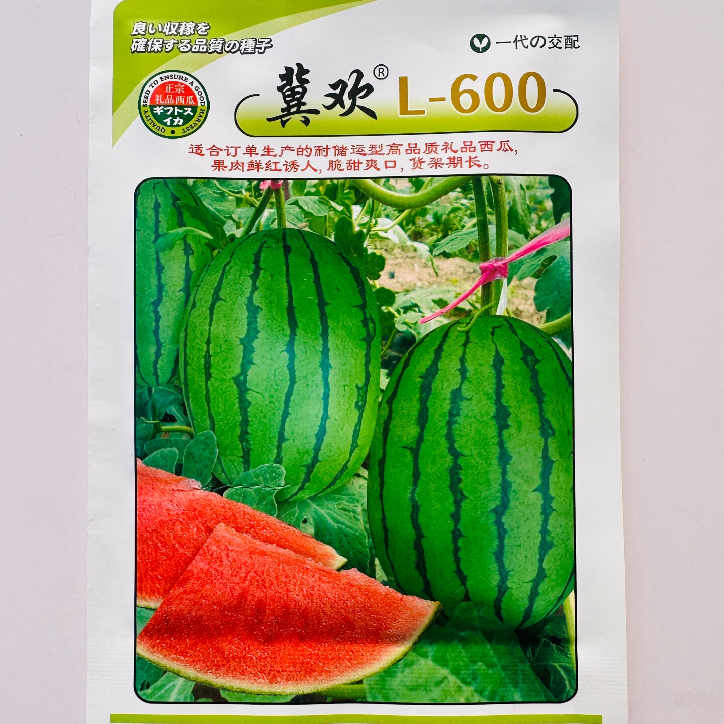 冀欢L-600小西瓜种子抗病杂交早熟脆甜爽口礼品西瓜种籽孑品质好