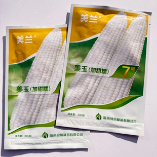 美兰美玉7/27号加甜糯玉米种子大棒高产甜味糯白玉米种籽春秋季播