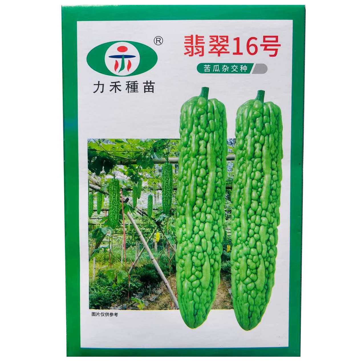 翡翠16号苦瓜种子 力禾种苗高产瓜条顺直长绿苦瓜种籽 春秋季播种