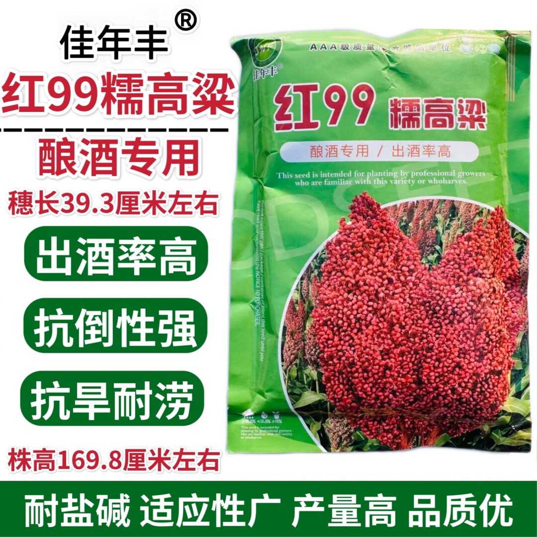 佳年丰红99糯高粱种子酿酒专用出酒率高抗旱耐涝耐盐碱红高粱种籽