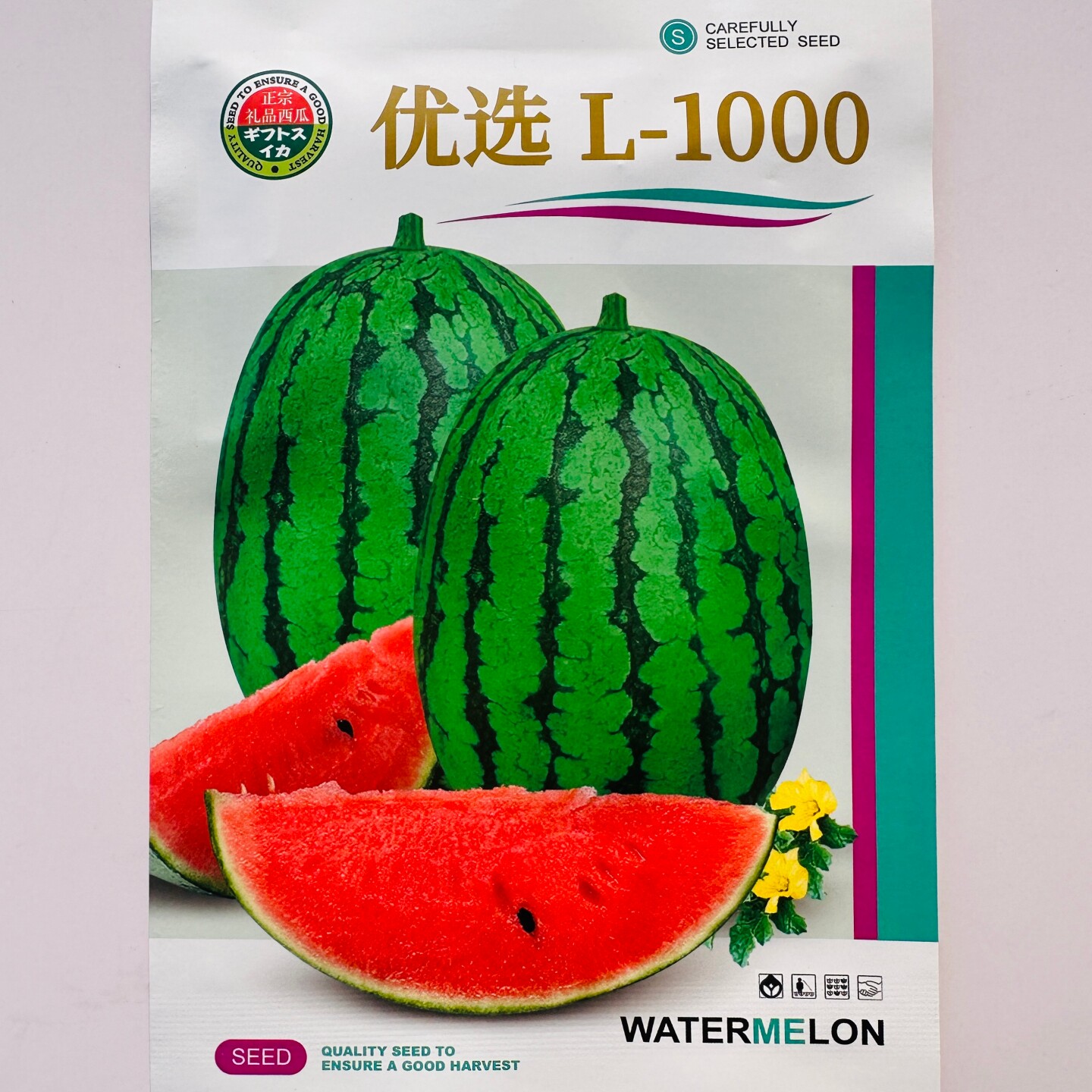 优选L-1000小西瓜种子抗病耐裂杂交早熟薄皮西瓜种籽农家春秋季播