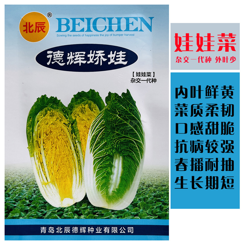 德辉娇娃杂交娃娃菜种子小白菜种籽黄心娃娃菜种籽农家春秋季播种