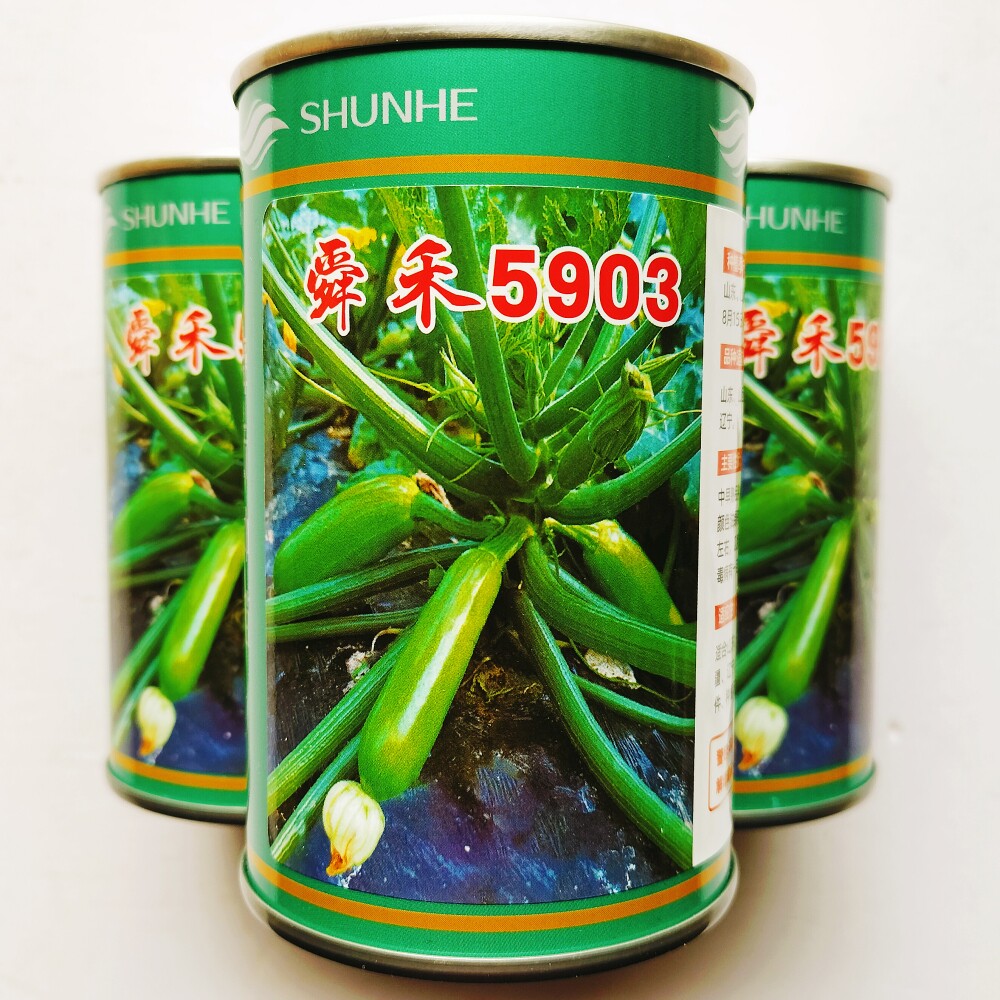 舜禾5903西葫芦种子 杂交中早熟长棒形占瓜种籽 大田基地春秋季播