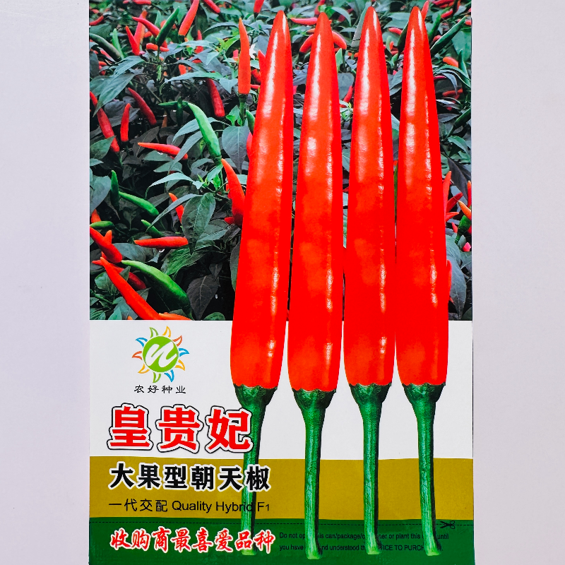 农好皇贵妃大果单生朝天椒种子抗病高产早中熟辣椒种籽春秋季播种