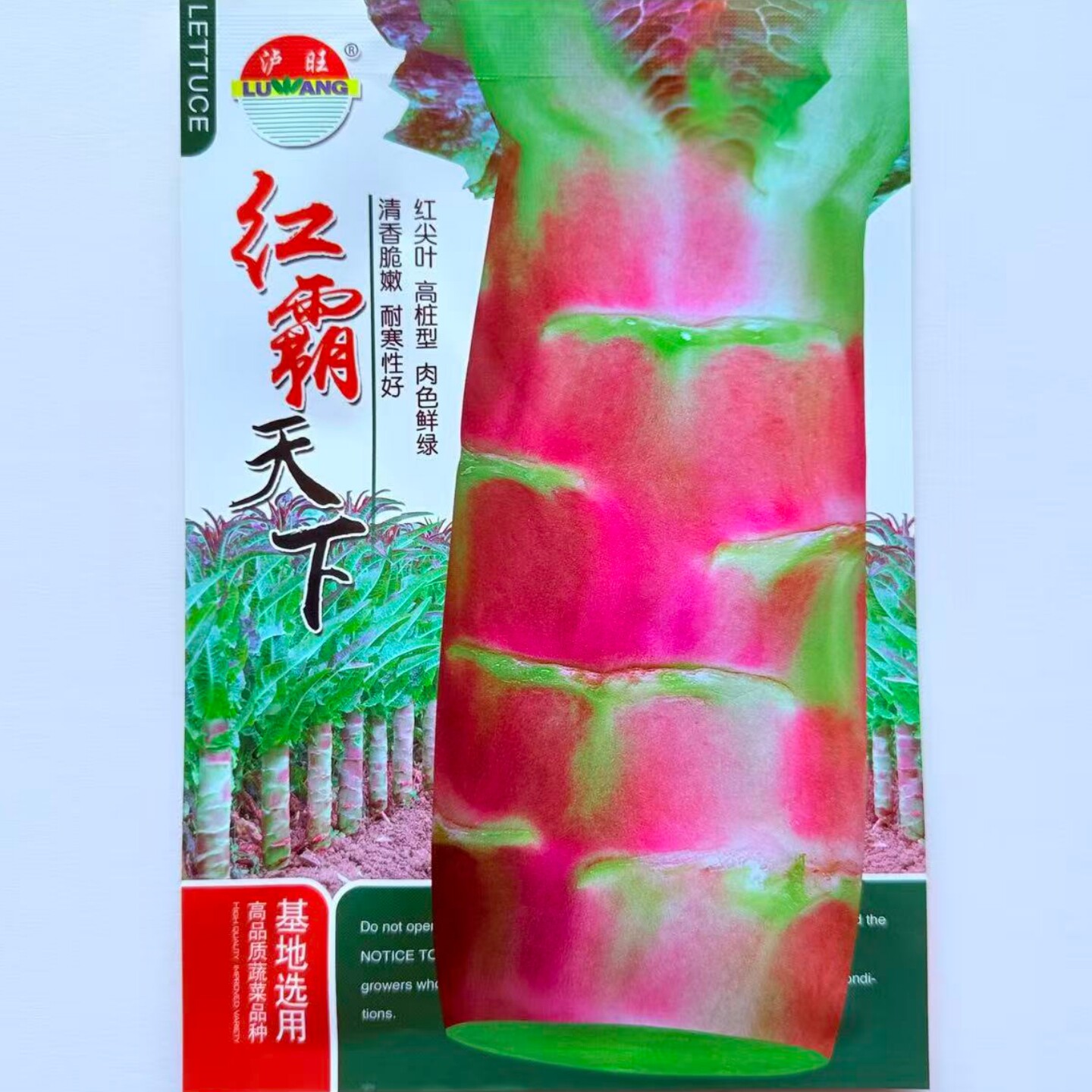 泸旺红霸天下红尖叶莴笋种子耐热耐寒清香脆嫩莴苣菜种籽秋冬季播