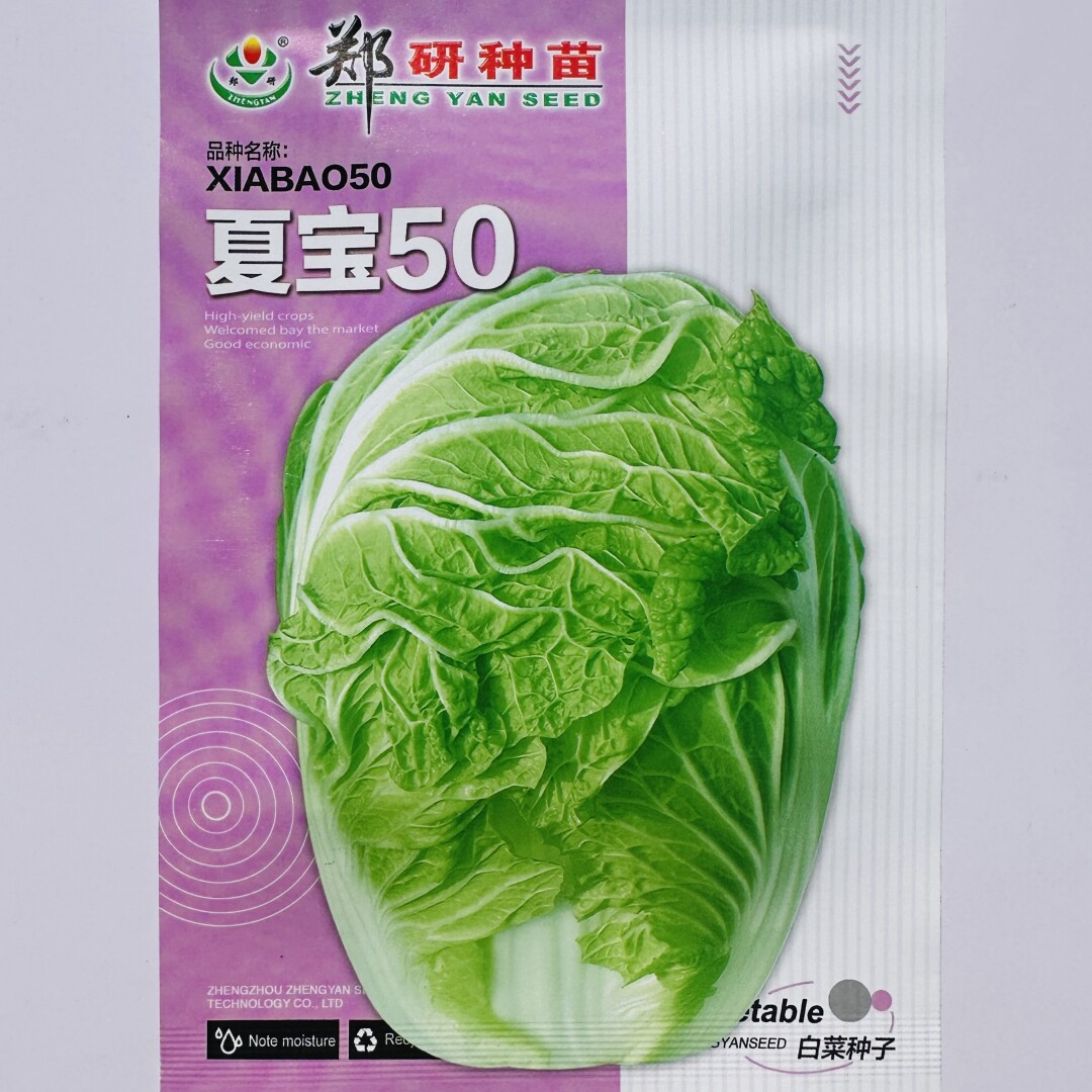郑研夏宝50大白菜种子抗病耐热耐湿白菜种籽农家夏秋季播蔬菜种孑