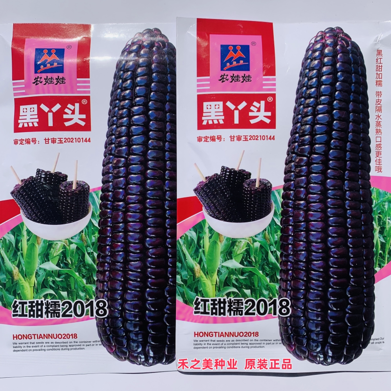 农娃娃红甜糯2018玉米种子红黑甜加糯玉米种籽非转黑糯粘糯玉米种