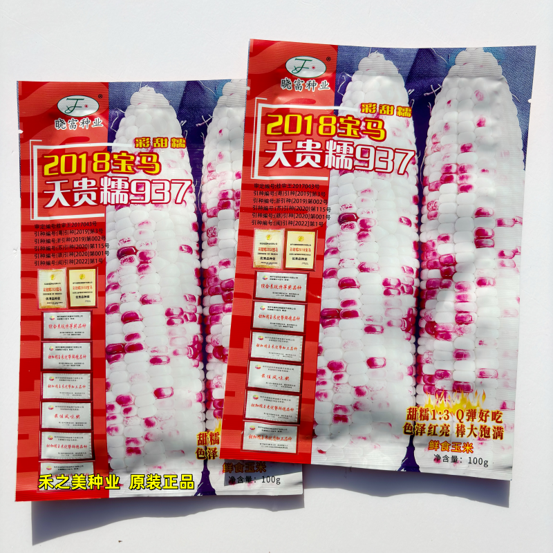 2018宝马天贵糯937玉米种籽高产抗病春秋播农业大田彩色玉米种子