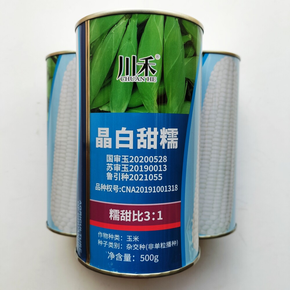 川禾晶白甜糯玉米种籽大棒高产鲜食白糯粘糯香甜玉米种子春秋季播