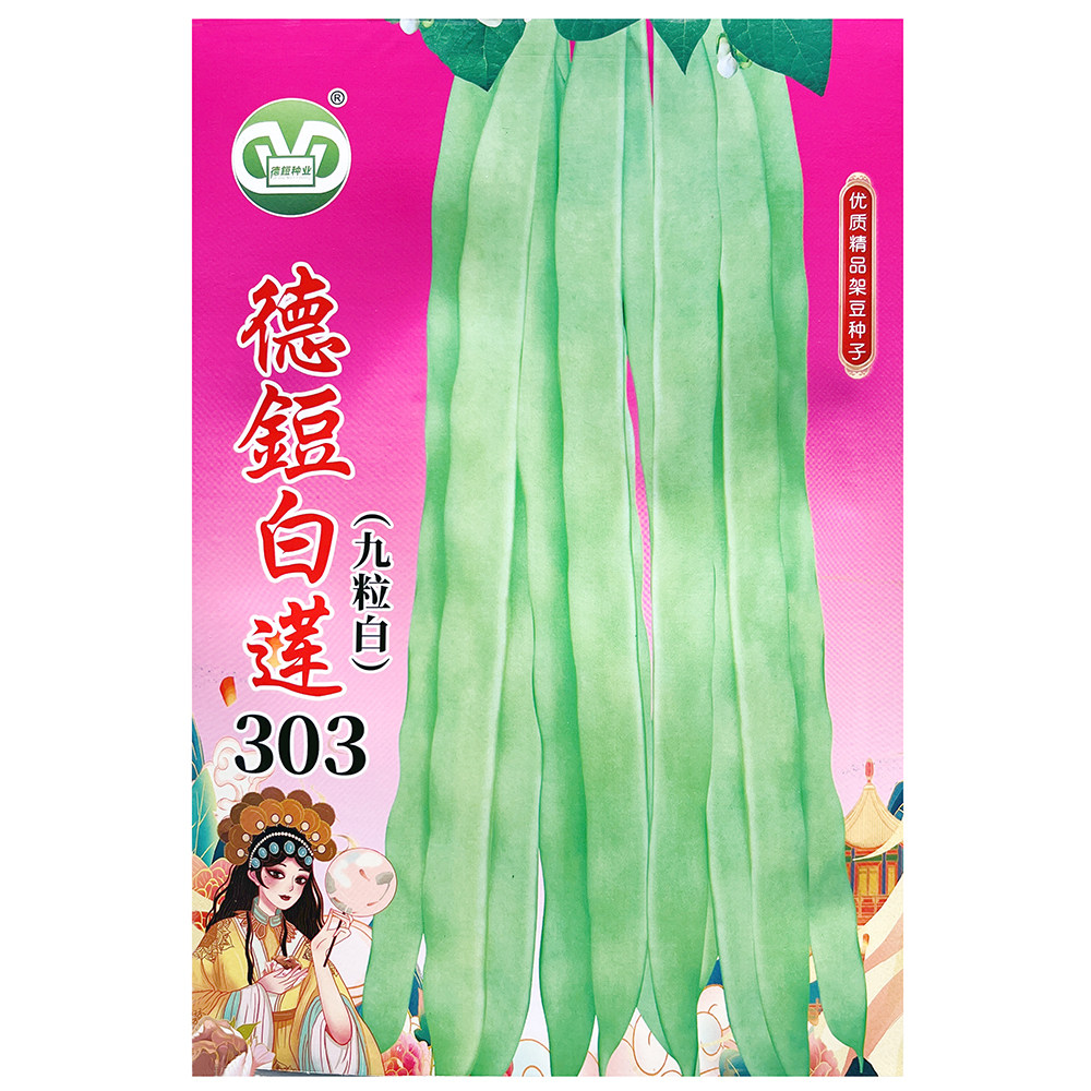 白莲303九粒白架豆种子中早熟芸豆耐低温四季豆种子农家春秋季播