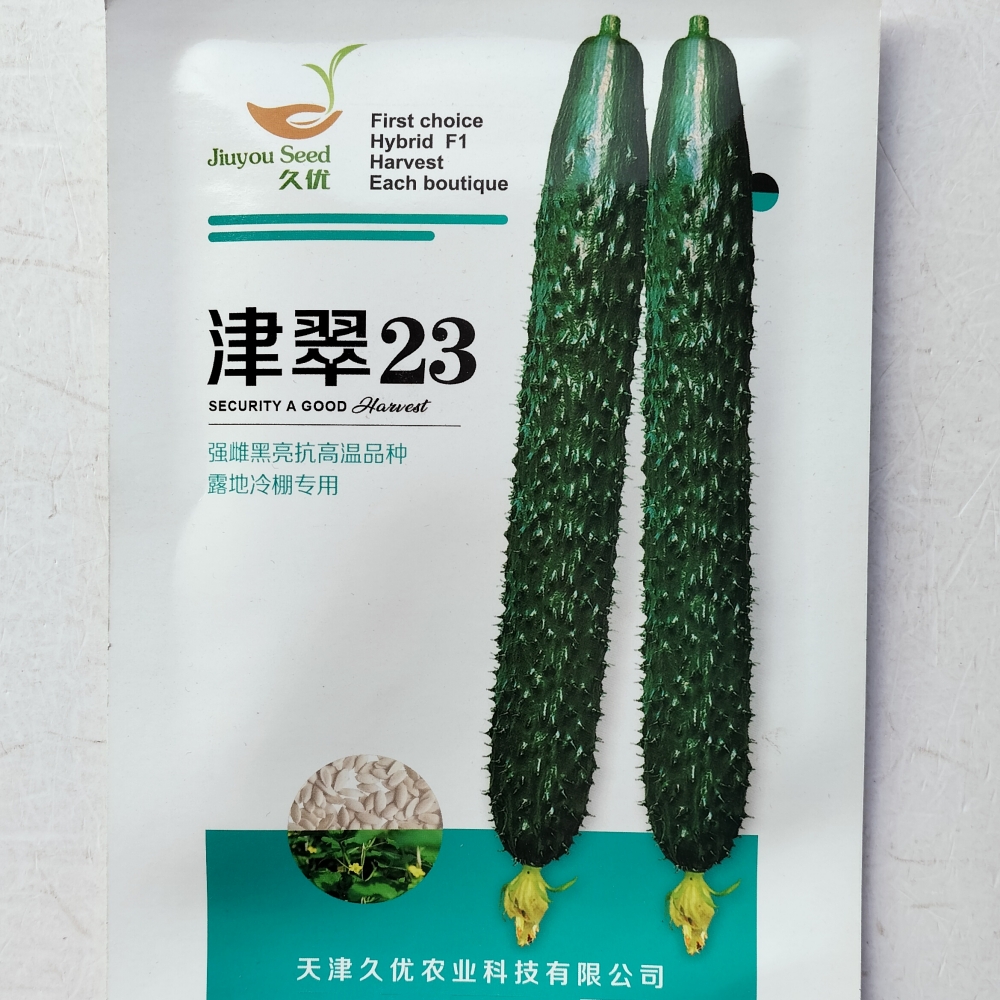 津翠23强雌黄瓜种子黑亮抗高温春夏秋季优质黄瓜种籽天津久优农业