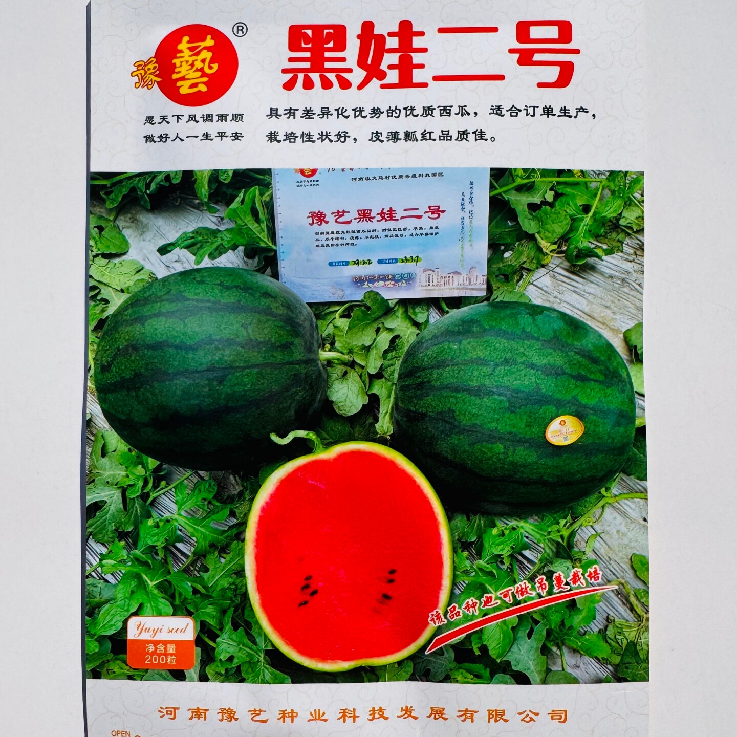 豫艺黑娃二号西瓜种子早熟薄皮脆甜红瓤西瓜种籽抗病耐裂大田用种