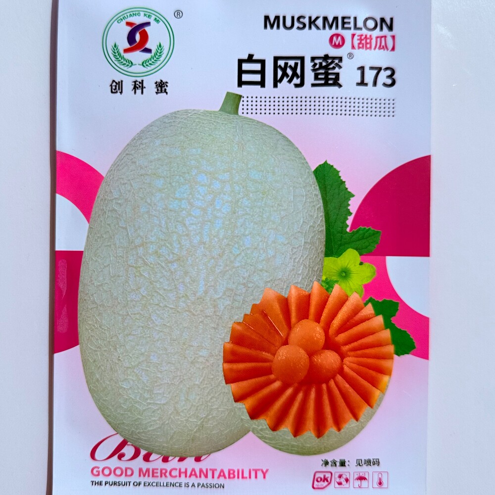 创科蜜白网蜜173网纹瓜种子抗病杂交白皮桔红肉甜瓜种籽春秋季播