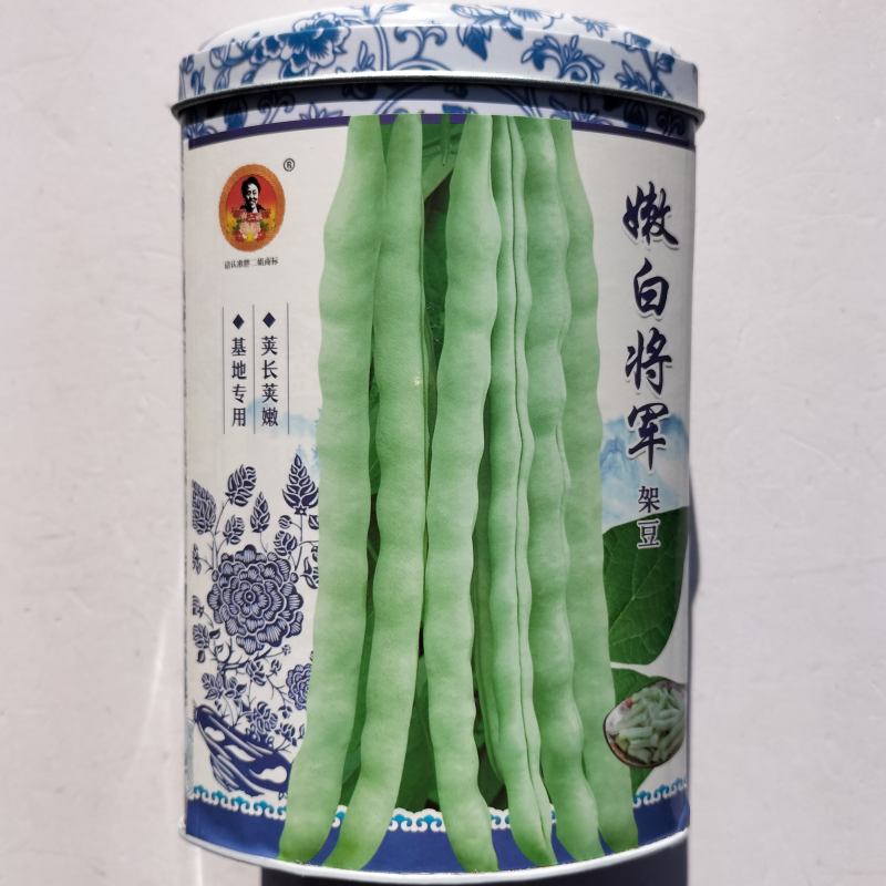 白不老白芸豆摘不败九粒白种子四季豆无筋豆角种籽孑航天嫩白将军