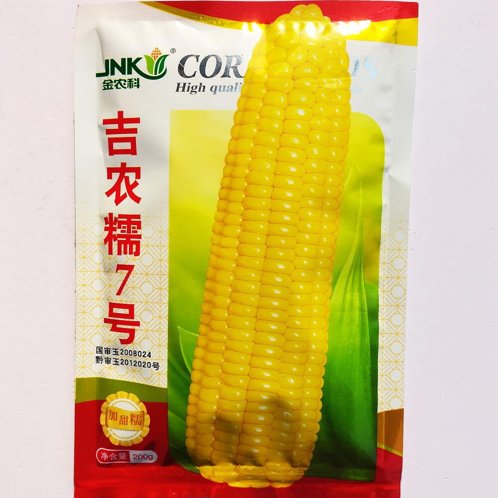 吉农糯7号黄糯玉米种子高产早熟特大棒国审黄甜糯玉米种籽口感好