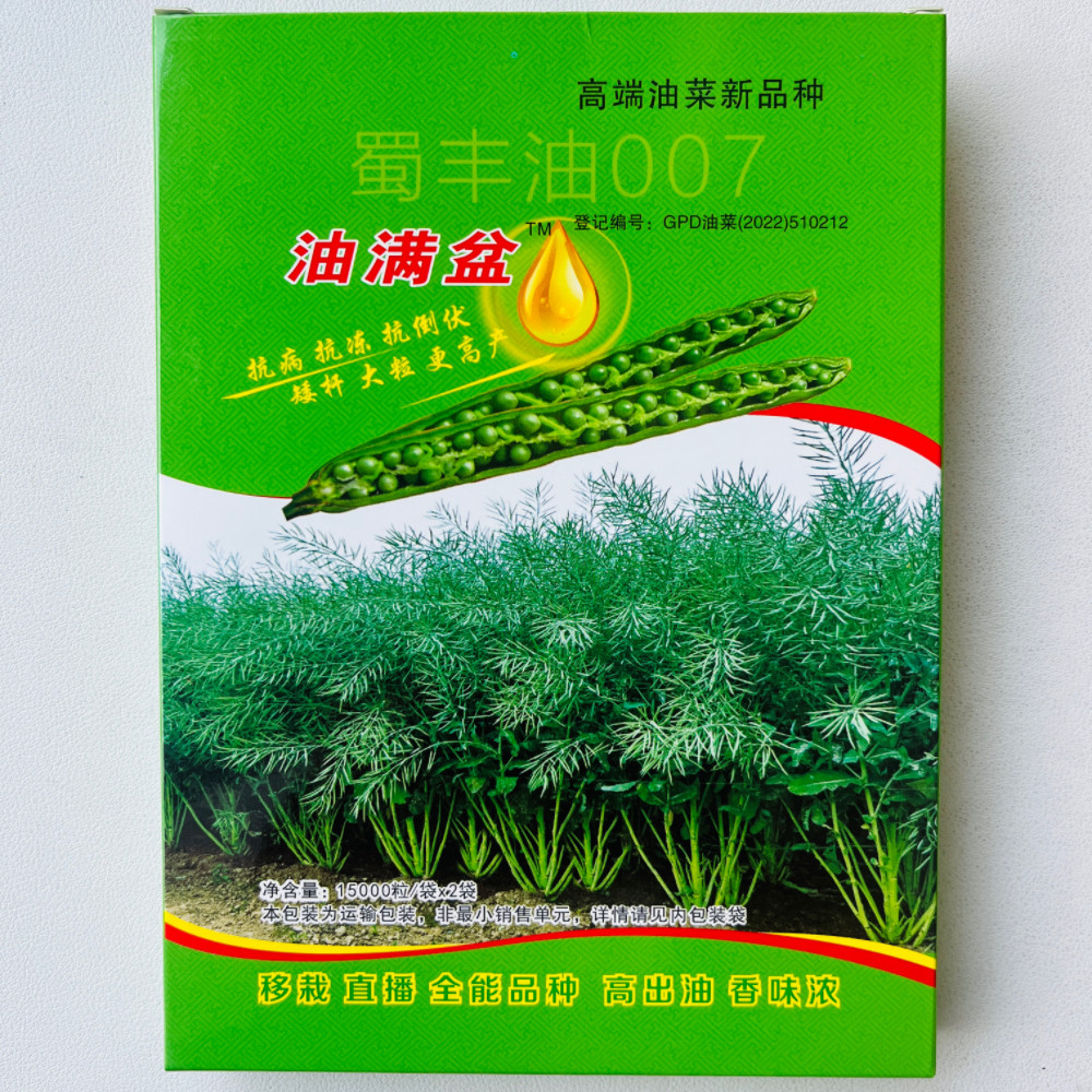 油满盆油菜种子蜀丰油007矮杆大粒高产油菜种籽大田基地秋季播种
