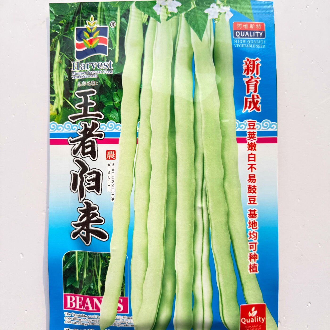 蓟农王者归来白芸豆种子高产中早熟架豆菜豆种籽农家四季豆春秋播