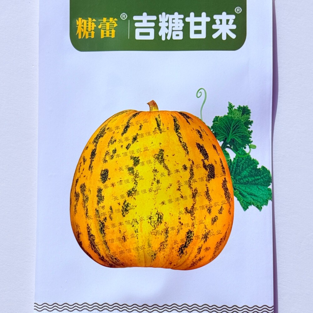 糖蕾吉糖甘来甜瓜种子耐裂花皮绿肉高糖八里香甜瓜香瓜种籽口感好