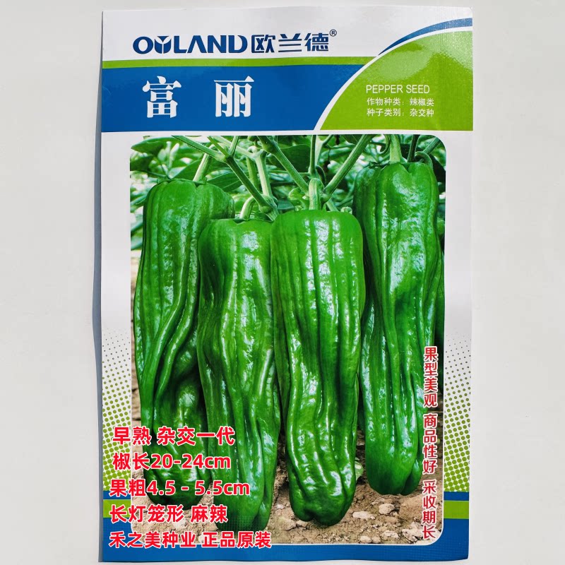 富丽泡椒种籽芜湖椒种子杂交一代早熟麻辣口感好春夏秋季辣椒种孑