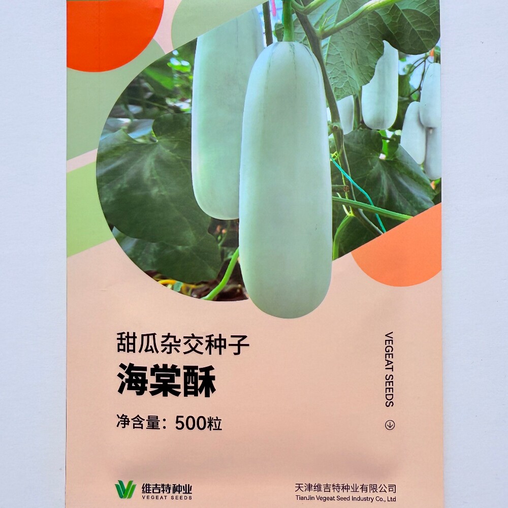 海棠酥杂交一代薄皮甜瓜新品种子灰白皮绿肉香瓜种籽农家春秋季播